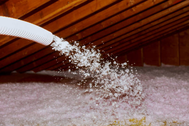 Best Eco-Friendly Insulation in Ecorse, MI