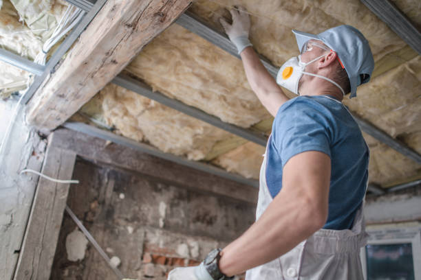 Best Specialized Insulation Services in Ecorse, MI