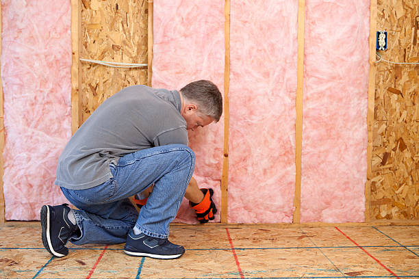 Best Commercial Insulation in Ecorse, MI