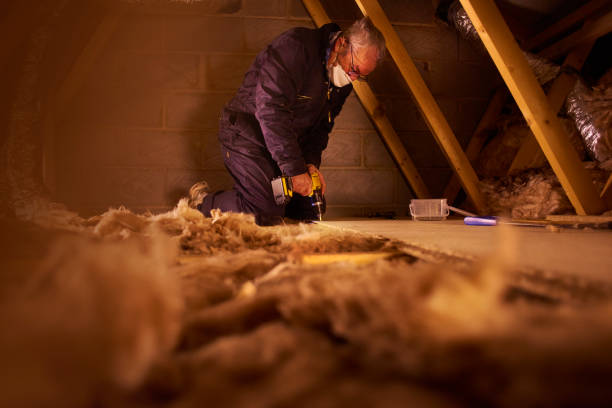 Types of Insulation We Offer in Ecorse, MI